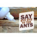 Amish A Eco-Friendly Ant Bait (Pack of  2 bottles) - Turning Point